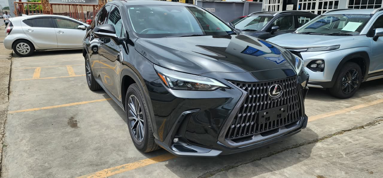 Lexus NX250